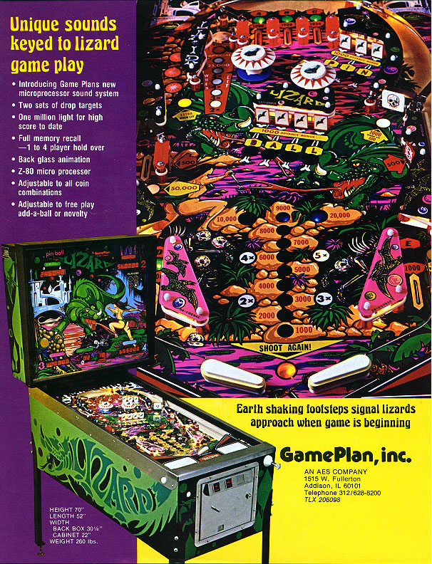 Game Plan Lizard Flyer